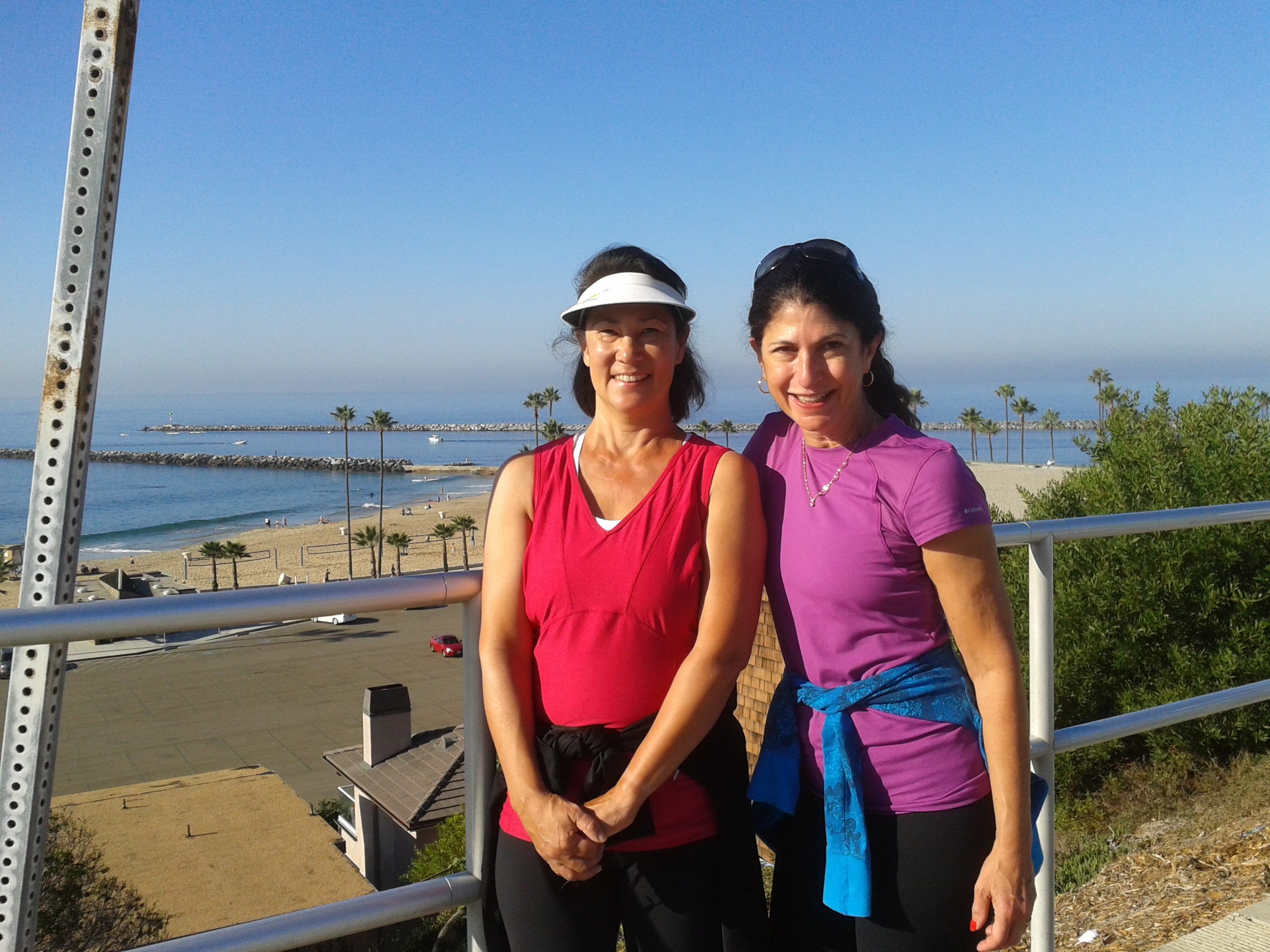 Professional Volunteerism